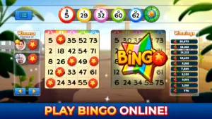 Bingo Pop: Play Live Online 1