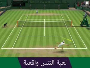 Tennis World Open 2024 – Sport 1