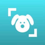 dog scanner breed recognition