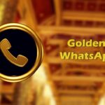 WhatsApp Gold V11.45